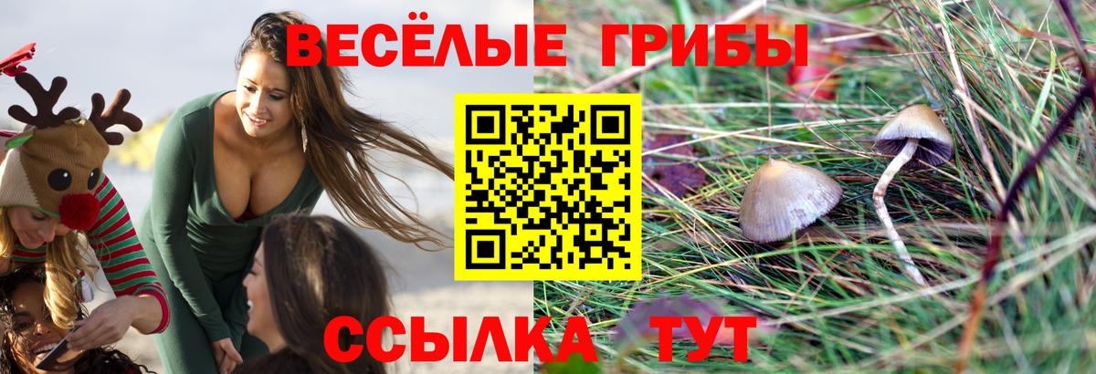 Бошки Шишки  Гашиш  Купить наркотик  Вход с VPN  Codein  Вольск  МЕФ  