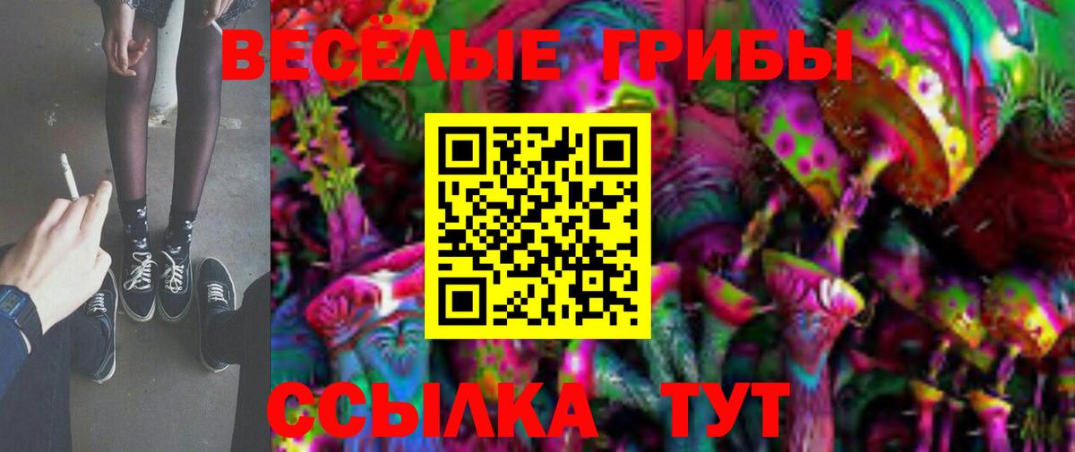 Вольск  Псилоцибиновые грибы Psilocybe  Вход с VPN  Галлюциногенные грибы мицелий 